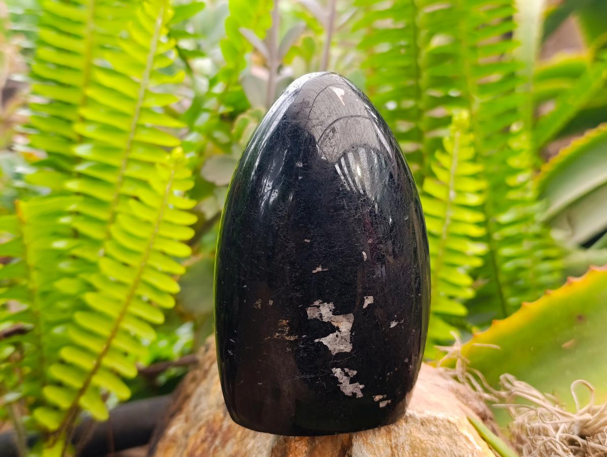Polished Black Tourmaline Standing Free Forms x 2 From Madagascar