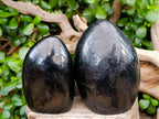 Polished Black Tourmaline Standing Free Forms x 2 From Madagascar
