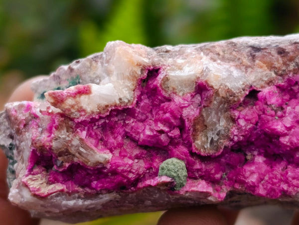 Natural Salrose Cobaltion Dolomite Specimens x 6 From Kakanda, Congo