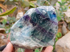 Natural Watermelon Fluorite Cobbed Specimens x 10 From Uis, Namibia