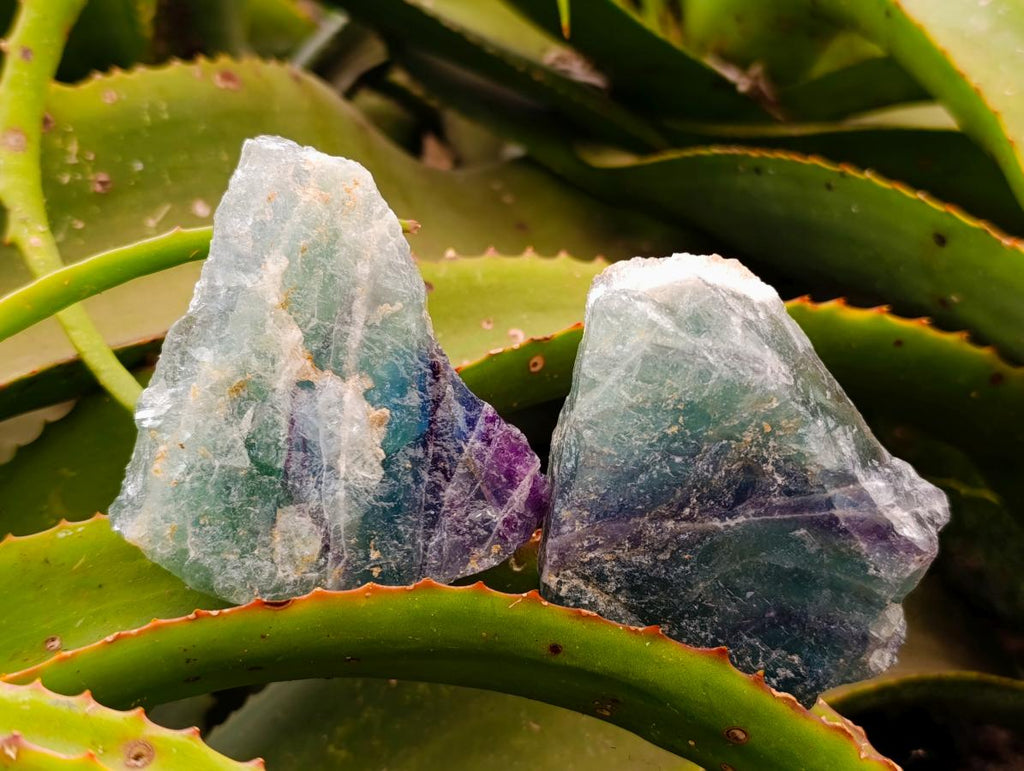 Natural Watermelon Fluorite Cobbed Specimens x 10 From Uis, Namibia