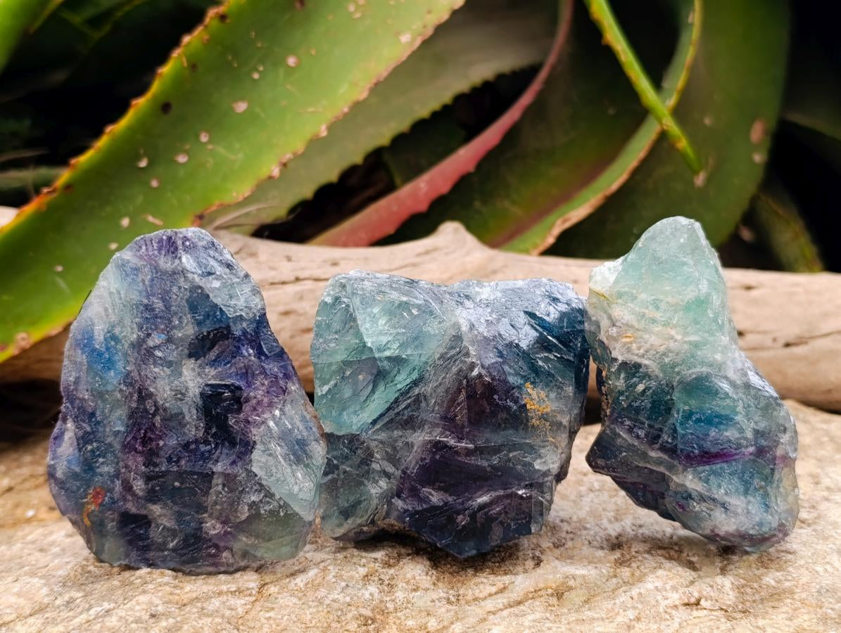 Natural Watermelon Fluorite Cobbed Specimens x 10 From Uis, Namibia