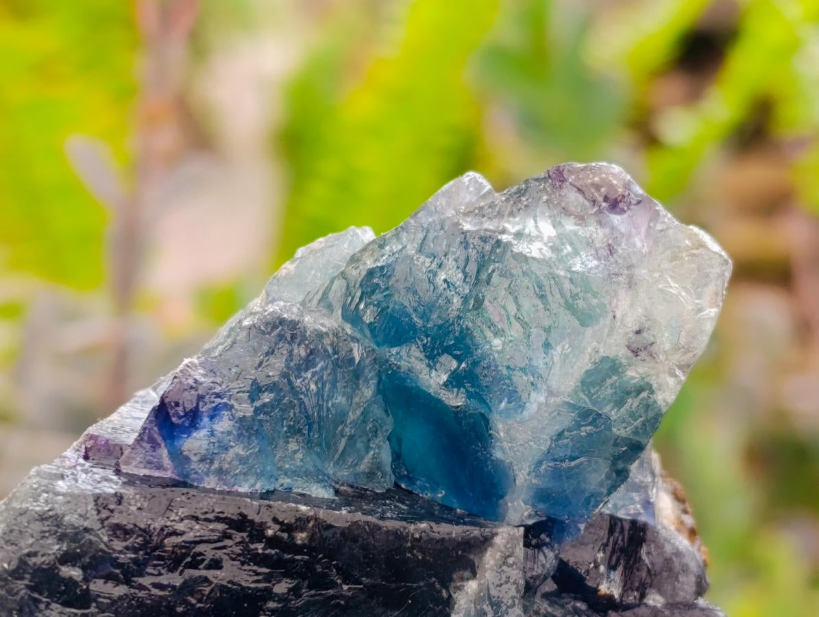Natural Watermelon Fluorite Cobbed Specimens x 10 From Uis, Namibia