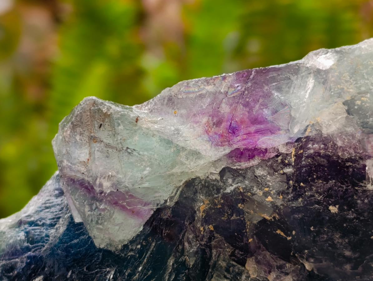 Natural Watermelon Fluorite Cobbed Specimens x 10 From Uis, Namibia