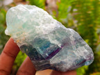 Natural Watermelon Fluorite Cobbed Specimens x 10 From Uis, Namibia