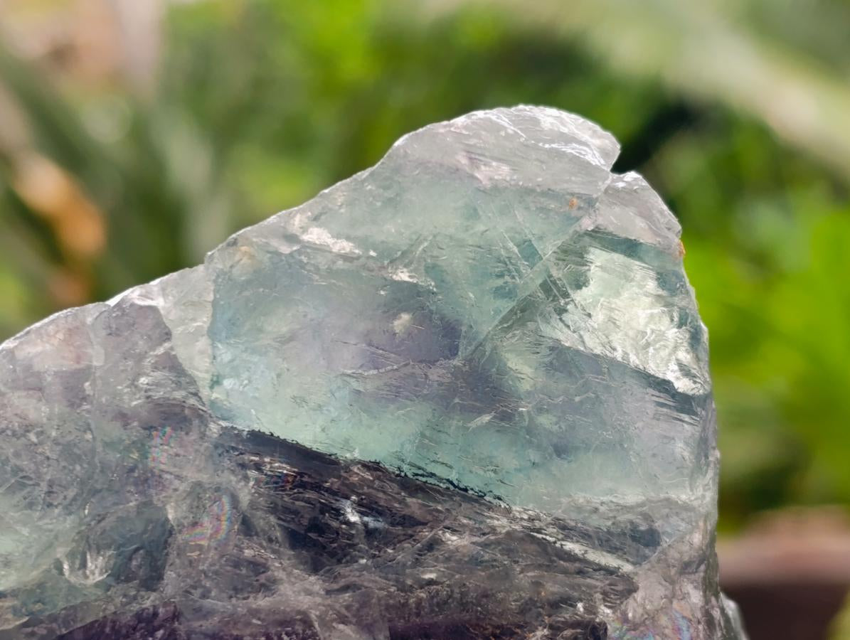 Natural Watermelon Fluorite Cobbed Specimens x 10 From Uis, Namibia