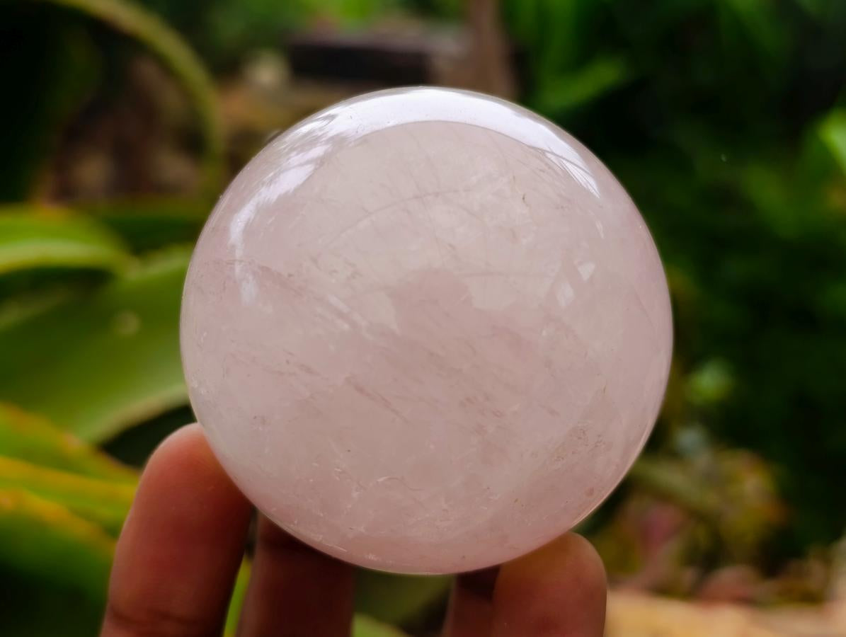 Polished Rose Quartz Spheres x 6 From Madagascar