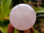 Polished Rose Quartz Spheres x 6 From Madagascar - Toprock Gemstones and Minerals 