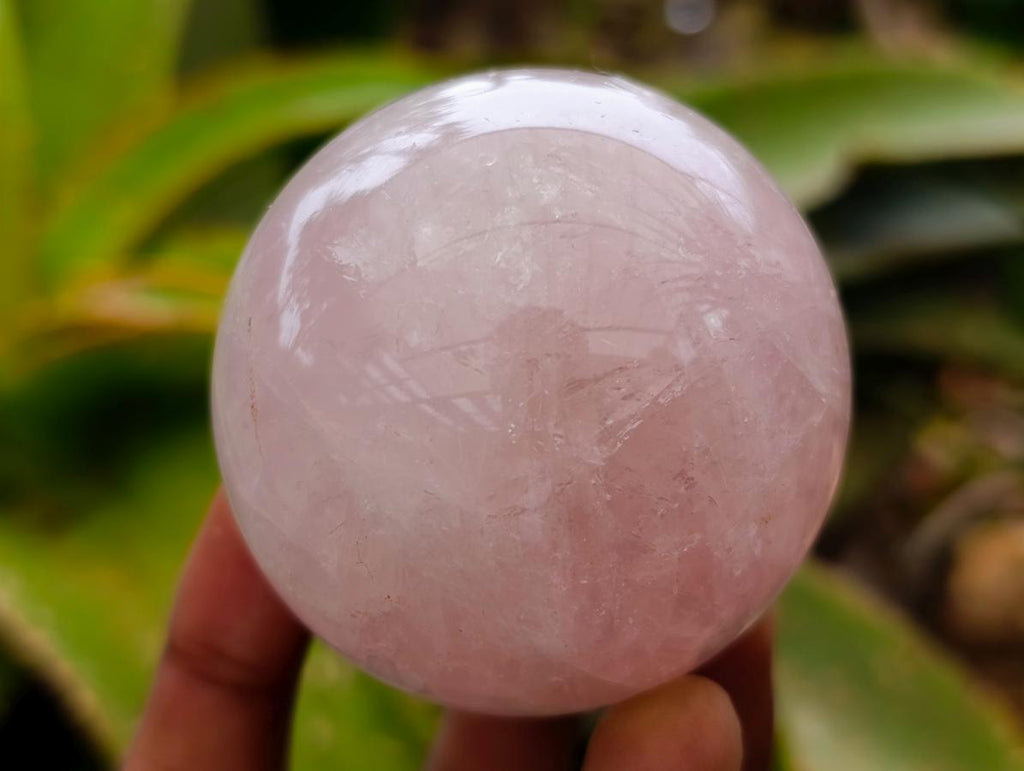 Polished Rose Quartz Spheres x 6 From Madagascar - Toprock Gemstones and Minerals 