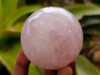 Polished Rose Quartz Spheres x 6 From Madagascar - Toprock Gemstones and Minerals 