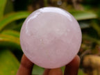 Polished Rose Quartz Spheres x 6 From Madagascar - Toprock Gemstones and Minerals 