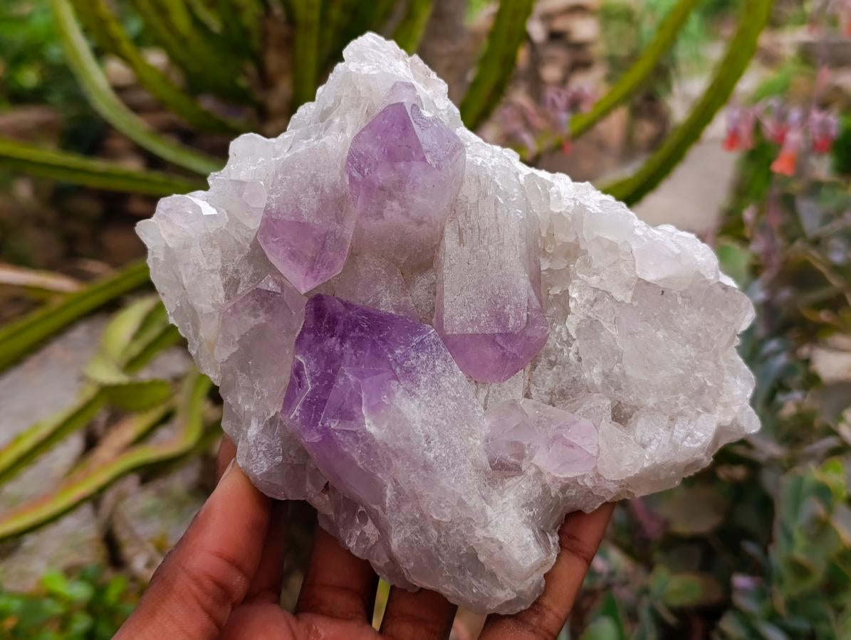 Natural Jacaranda Amethyst Crystal Clusters x 4 From Mumbwa, Zambia