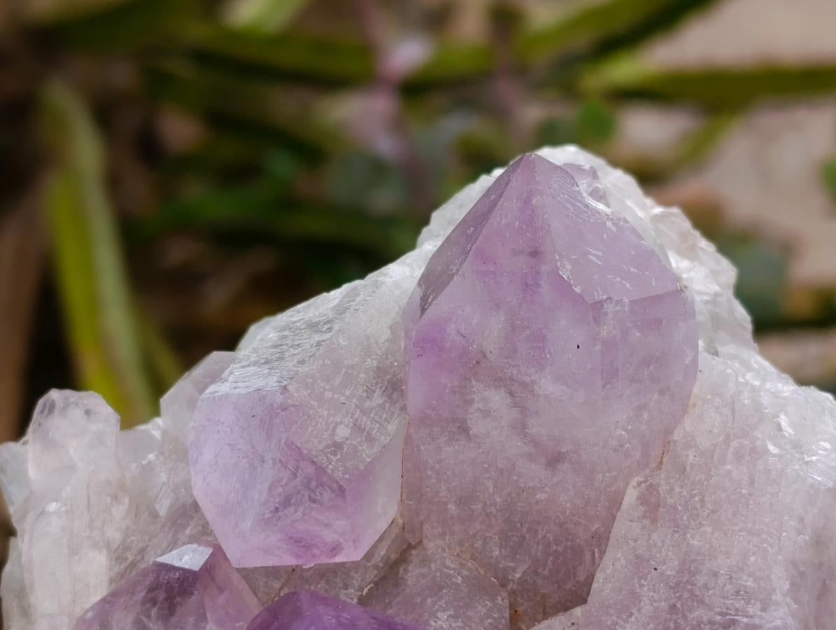 Natural Jacaranda Amethyst Crystal Clusters x 4 From Mumbwa, Zambia