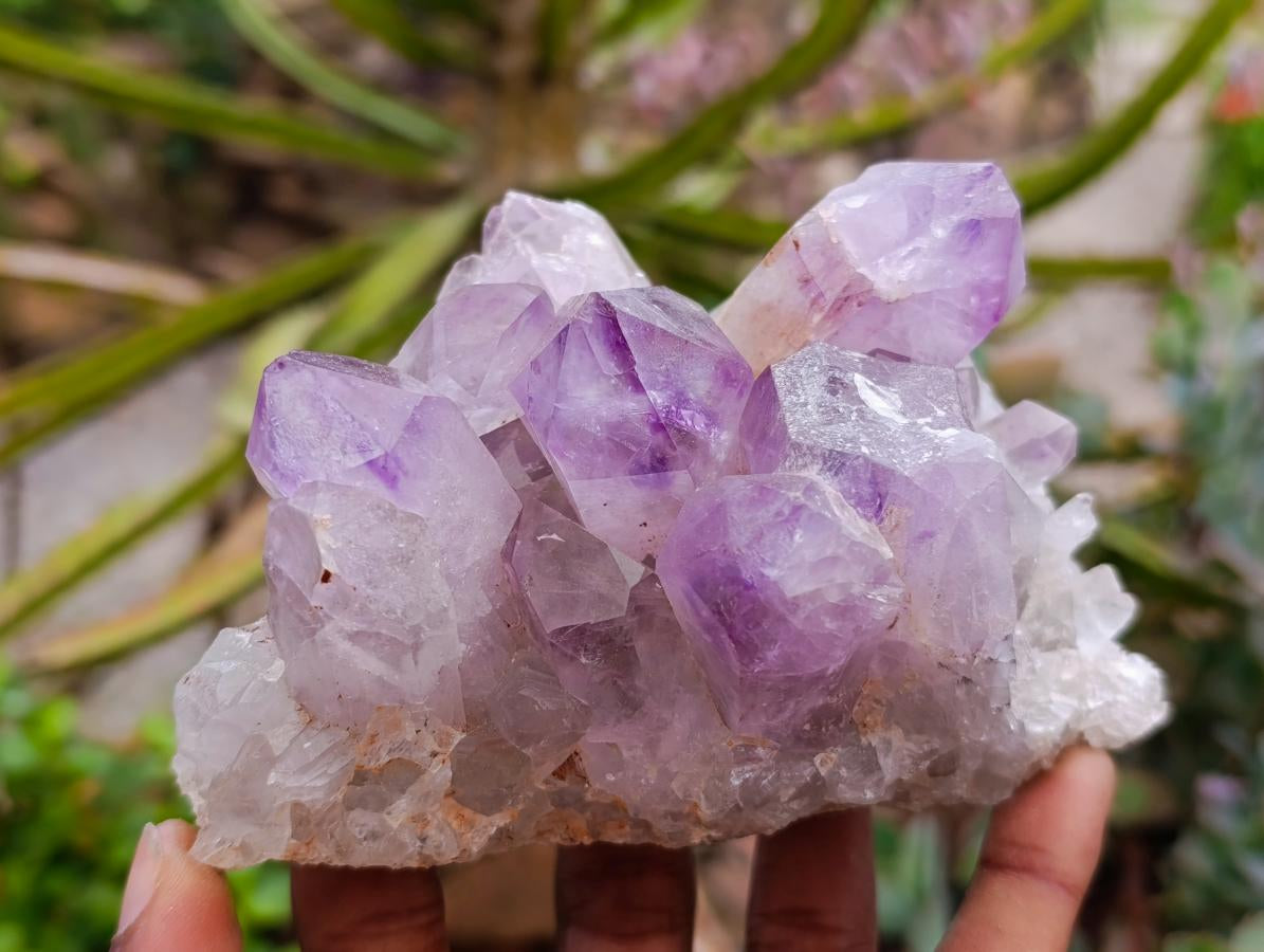 Natural Jacaranda Amethyst Crystal Clusters x 4 From Mumbwa, Zambia