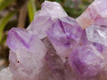 Natural Jacaranda Amethyst Crystal Clusters x 4 From Mumbwa, Zambia