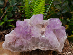 Natural Jacaranda Amethyst Crystal Clusters x 4 From Mumbwa, Zambia