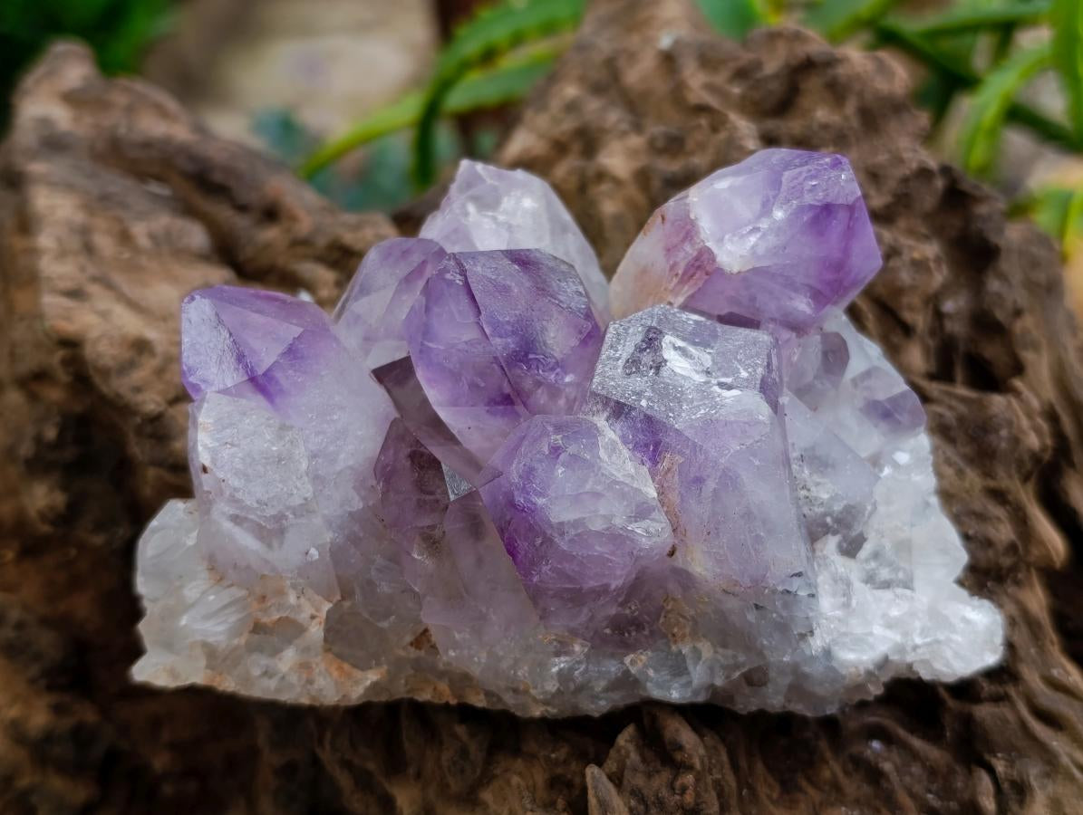 Natural Jacaranda Amethyst Crystal Clusters x 4 From Mumbwa, Zambia