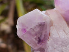 Natural Jacaranda Amethyst Crystal Clusters x 4 From Mumbwa, Zambia
