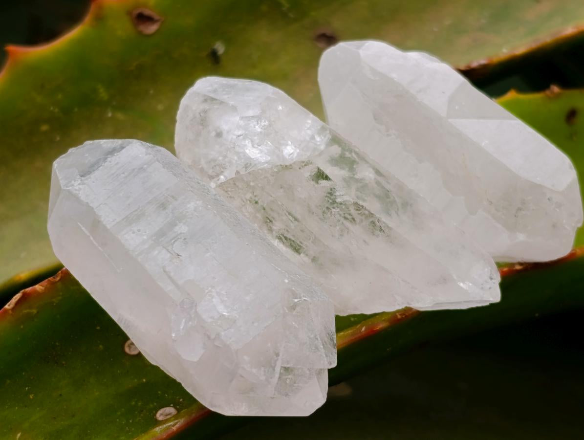 Natural Double Terminated Milky Quartz Crystals x 70 From Madagascar
