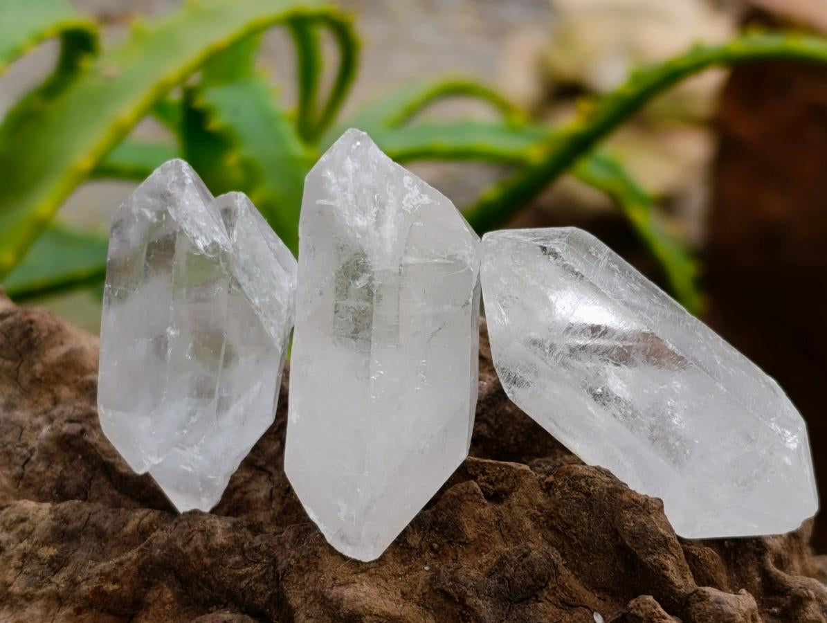 Natural Double Terminated Milky Quartz Crystals x 70 From Madagascar