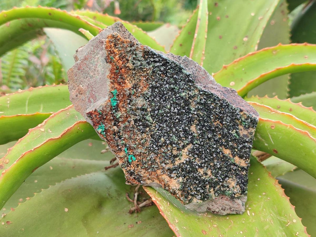 Natural Libethenite Crystals On Dolomite Matrix Specimens x 2 From Shituru, Congo - Toprock Gemstones and Minerals 