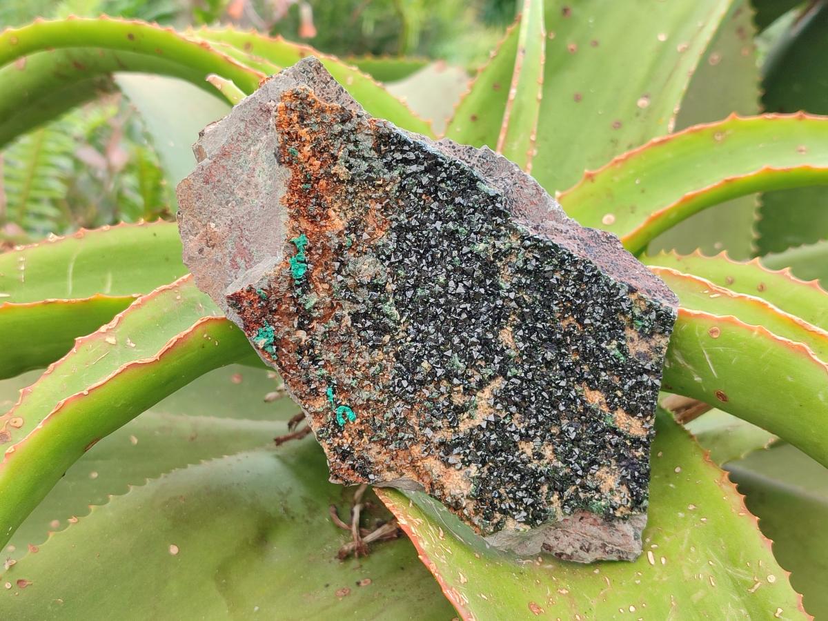 Natural Libethenite Crystals On Dolomite Matrix Specimens x 2 From Shituru, Congo - Toprock Gemstones and Minerals 