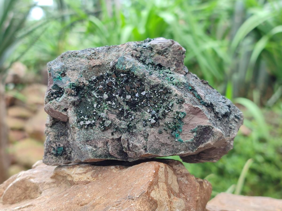 Natural Libethenite Crystals On Dolomite Matrix Specimens x 2 From Shituru, Congo - Toprock Gemstones and Minerals 