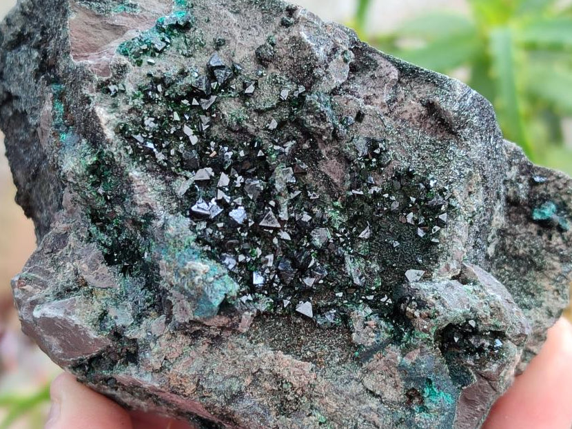 Natural Libethenite Crystals On Dolomite Matrix Specimens x 2 From Shituru, Congo