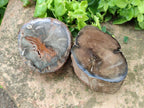 Polished On One Side Petrified Wood Branches x 3 From Gokwe, Zimbabwe