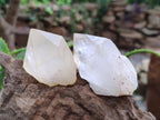 Natural Clear Quartz Crystals x 12 From Madagascar - Toprock Gemstones and Minerals 