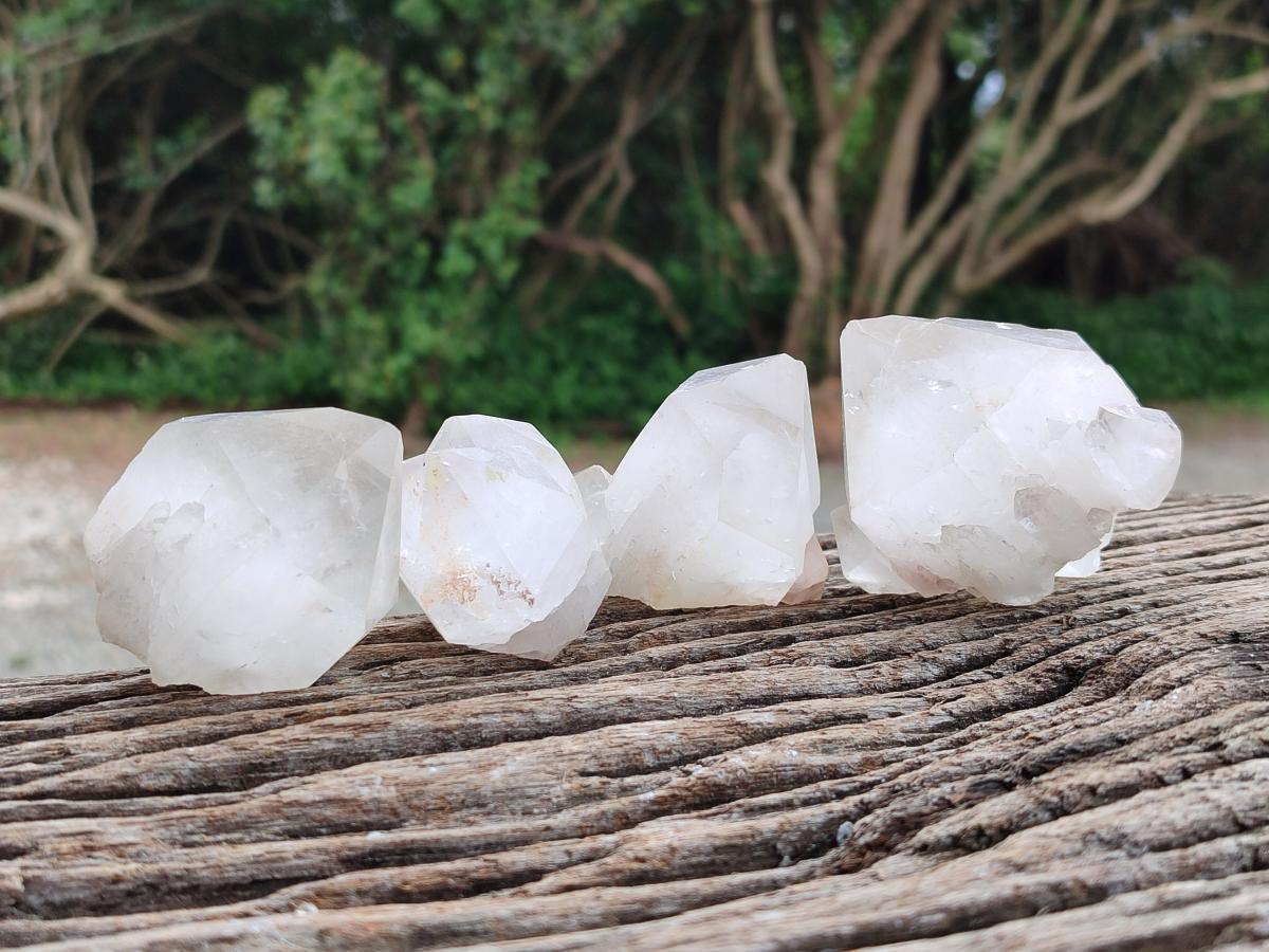 Natural Clear Quartz Crystals x 12 From Madagascar