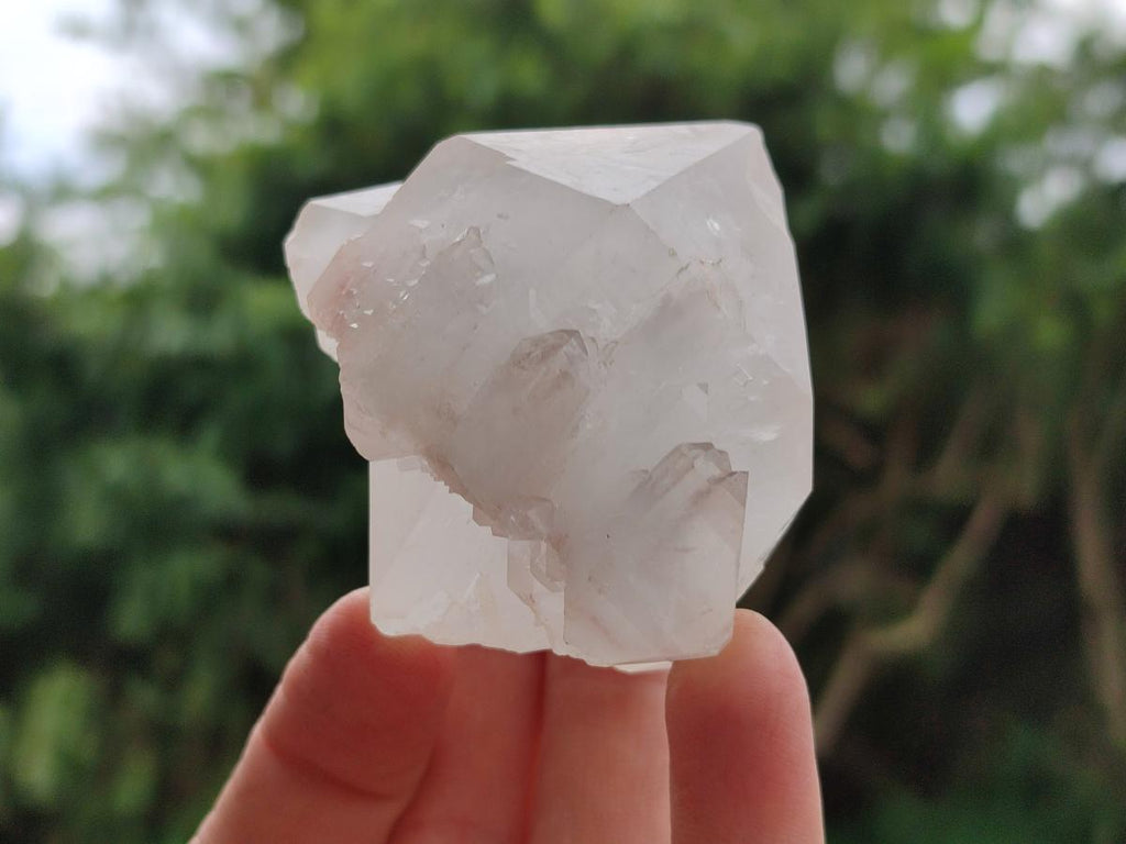 Natural Clear Quartz Crystals x 12 From Madagascar - Toprock Gemstones and Minerals 