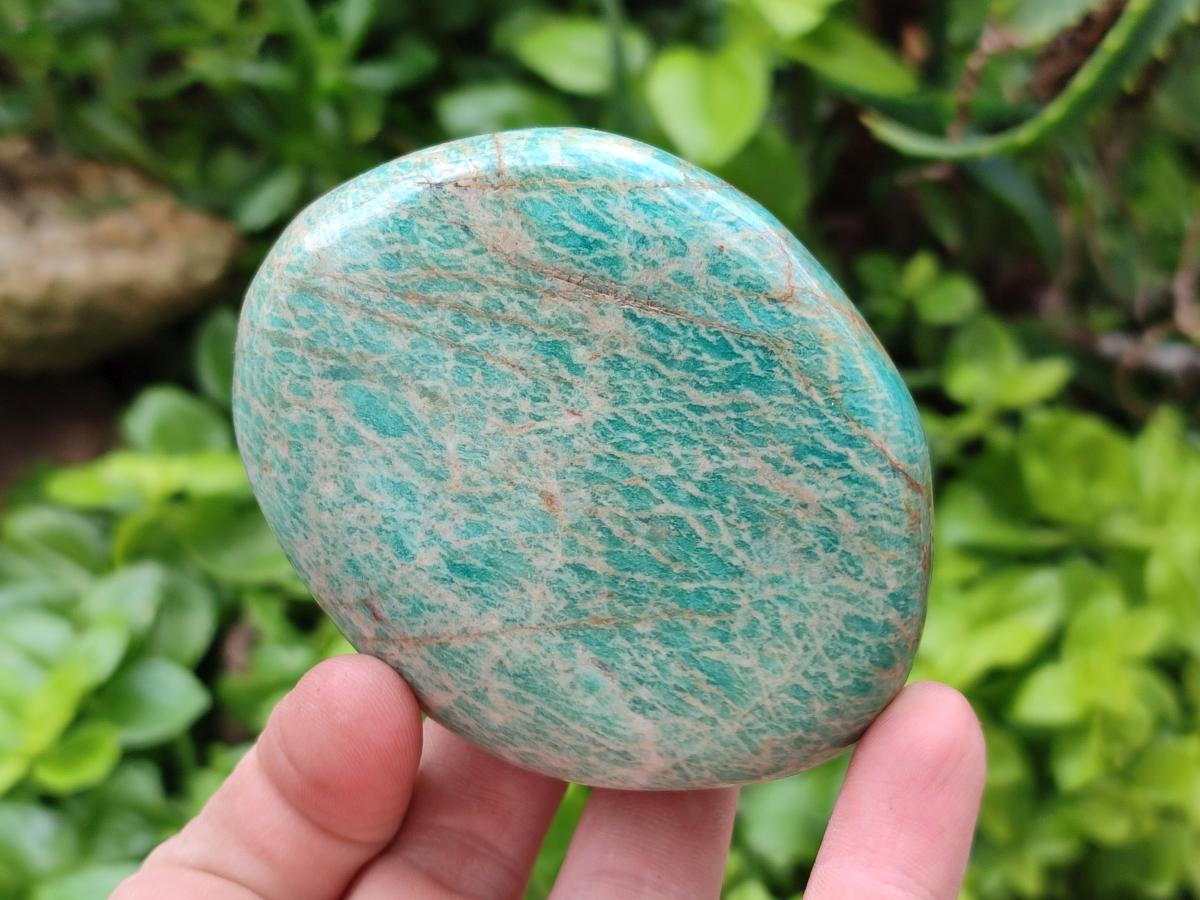 Polished Amazonite Standing and Free Forms x 6 From Zimbabwe