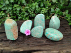 Polished Amazonite Standing and Free Forms x 6 From Zimbabwe