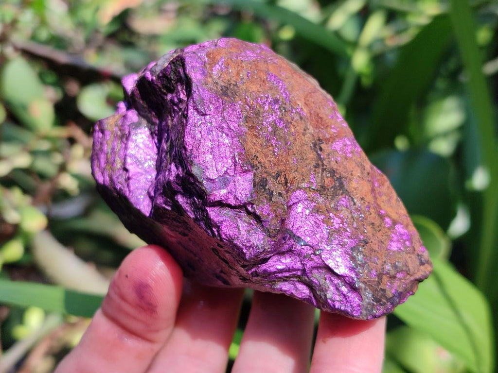 Natural Metallic Purpurite Specimens x 12 From Erongo, Namibia