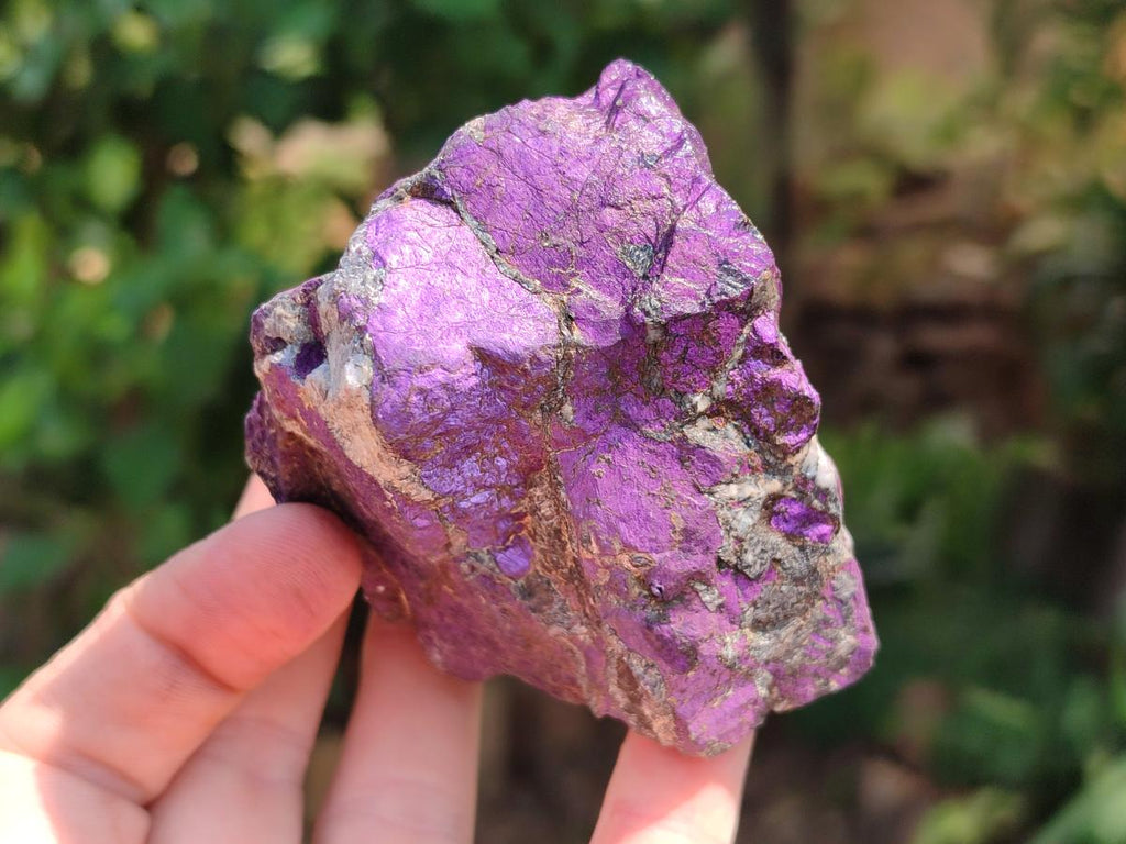 Natural Metallic Purpurite Specimens x 12 From Erongo, Namibia