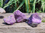 Natural Metallic Purpurite Specimens x 12 From Erongo, Namibia