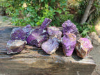 Natural Metallic Purpurite Specimens x 12 From Erongo, Namibia
