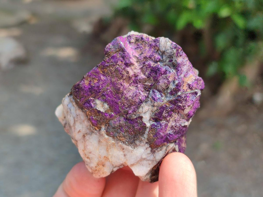 Natural Metallic Purpurite Specimens x 12 From Erongo, Namibia