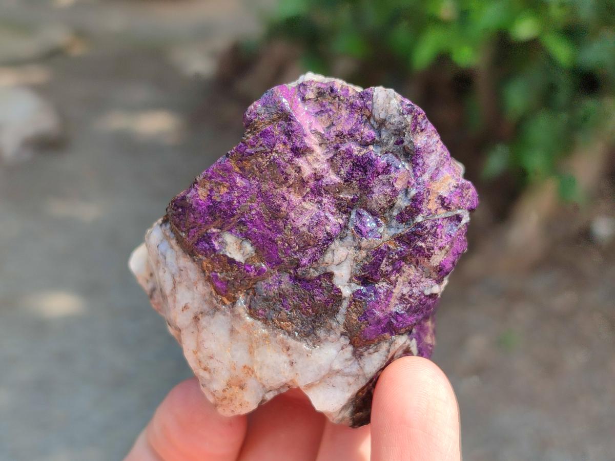 Natural Metallic Purpurite Specimens x 12 From Erongo, Namibia