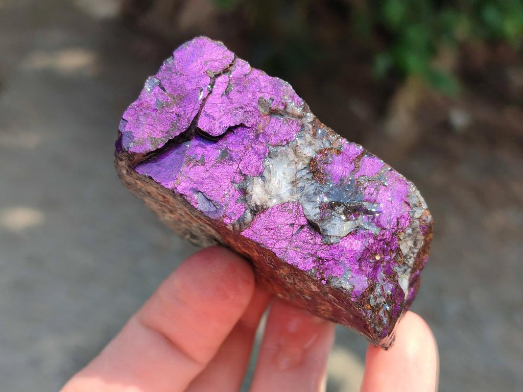 Natural Metallic Purpurite Specimens x 12 From Erongo, Namibia