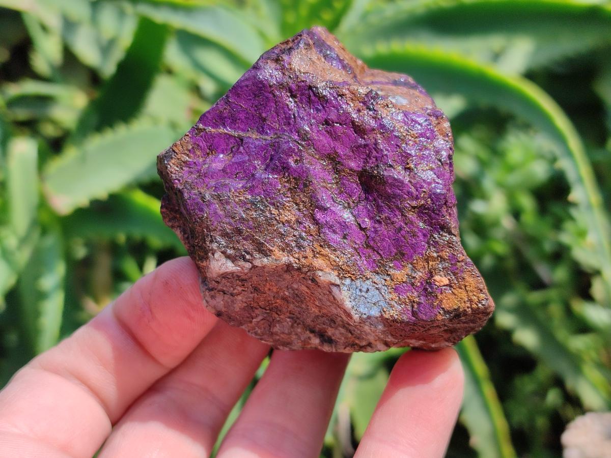 Natural Metallic Purpurite Specimens x 12 From Erongo, Namibia