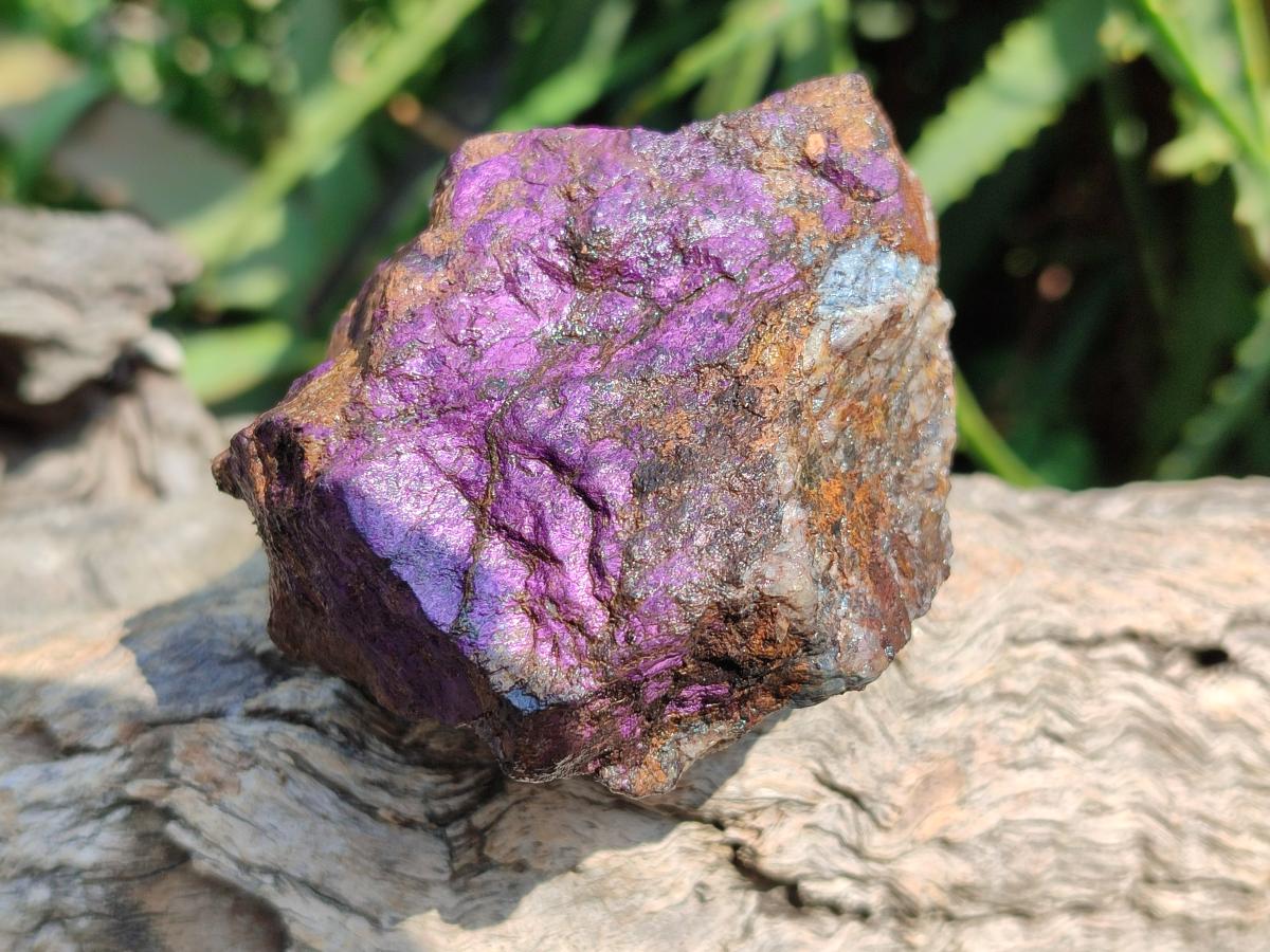 Natural Metallic Purpurite Specimens x 12 From Erongo, Namibia