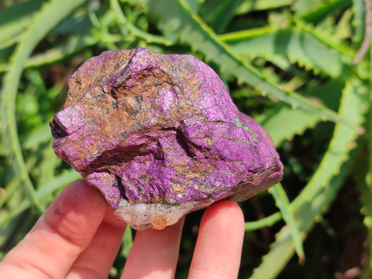 Natural Metallic Purpurite Specimens x 12 From Erongo, Namibia