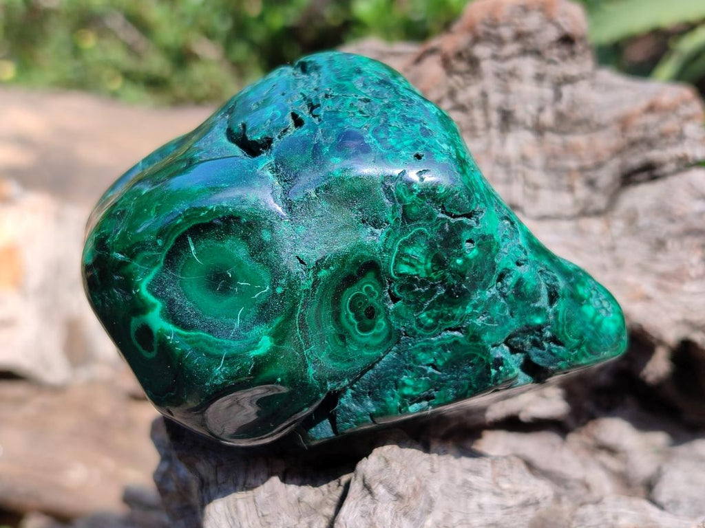Polished Flower Banded Malachite Free Forms x 3 From Congo - Toprock Gemstones and Minerals 