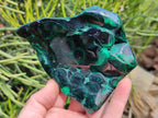 Polished Flower Banded Malachite Free Forms x 3 From Congo - Toprock Gemstones and Minerals 