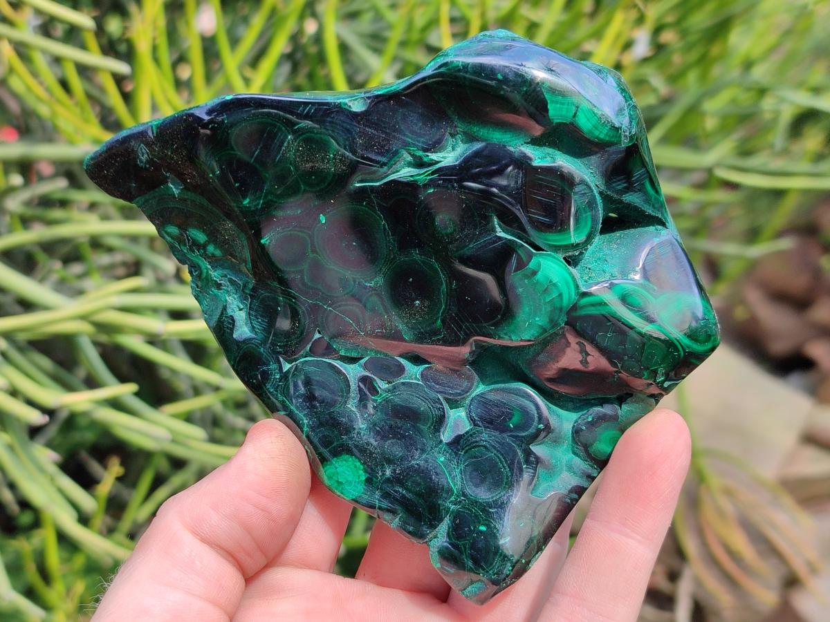 Polished Flower Banded Malachite Free Forms x 3 From Congo - Toprock Gemstones and Minerals 