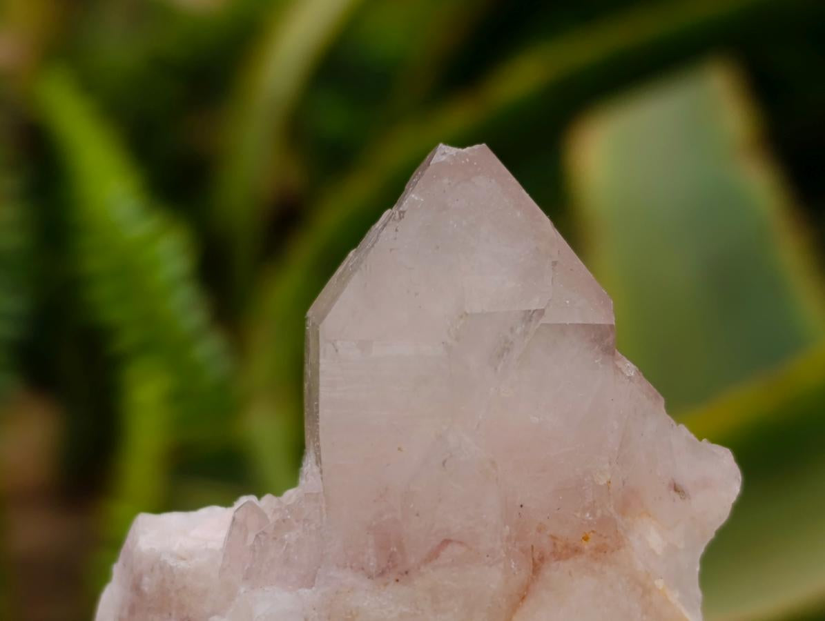 Natural Red Hematoid Quartz Crystals x 24 From Karoi, Zimbabwe