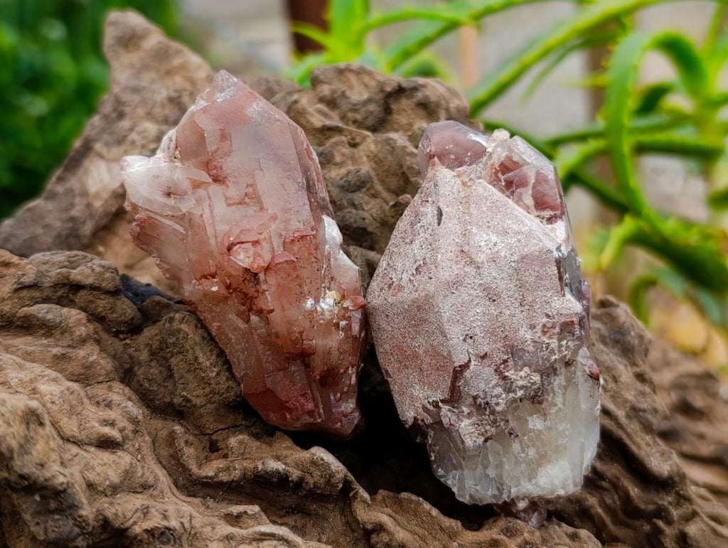 Natural Red Hematoid Quartz Crystals x 24 From Karoi, Zimbabwe