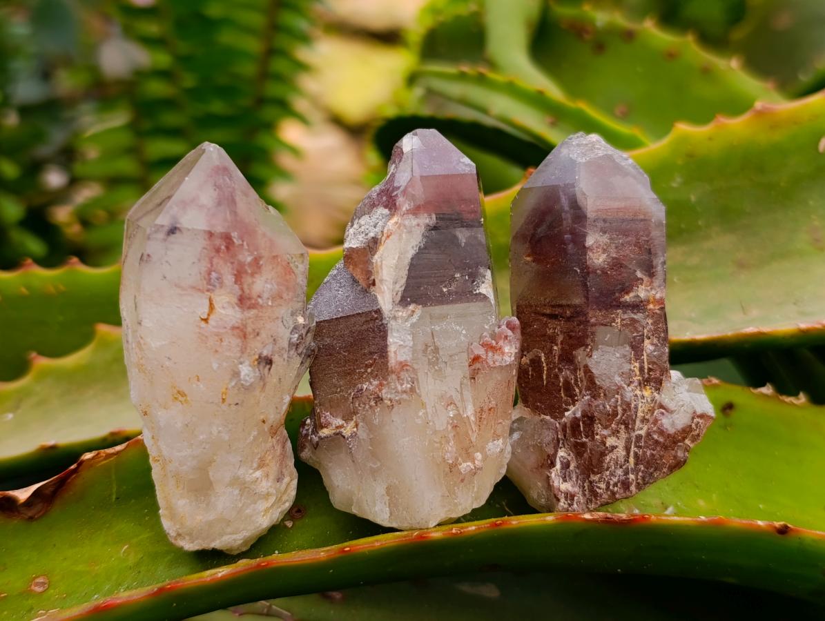 Natural Red Hematoid Quartz Crystals x 24 From Karoi, Zimbabwe